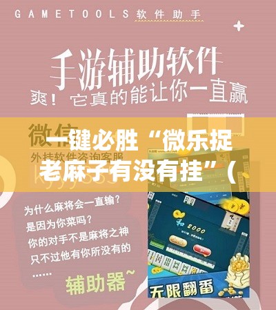 一键必胜“微乐捉老麻子有没有挂”(透视挂)辅助下载教程