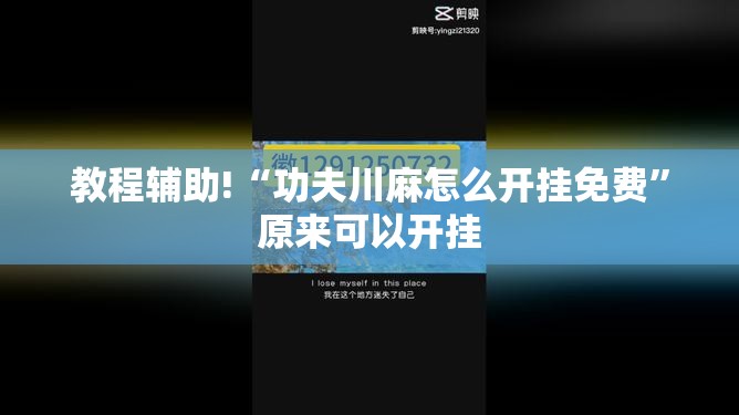 教程辅助!“功夫川麻怎么开挂免费	”原来可以开挂