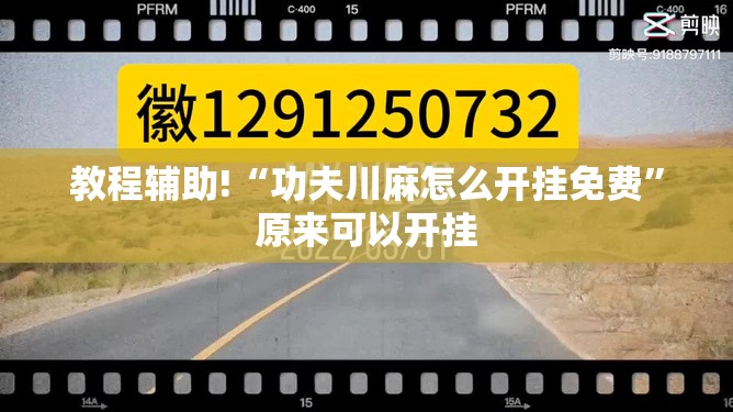 教程辅助!“功夫川麻怎么开挂免费”原来可以开挂