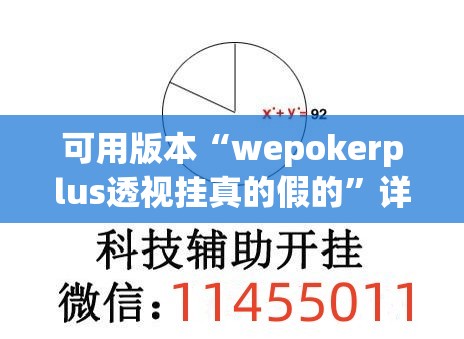可用版本“wepokerplus透视挂真的假的”详细开挂教程