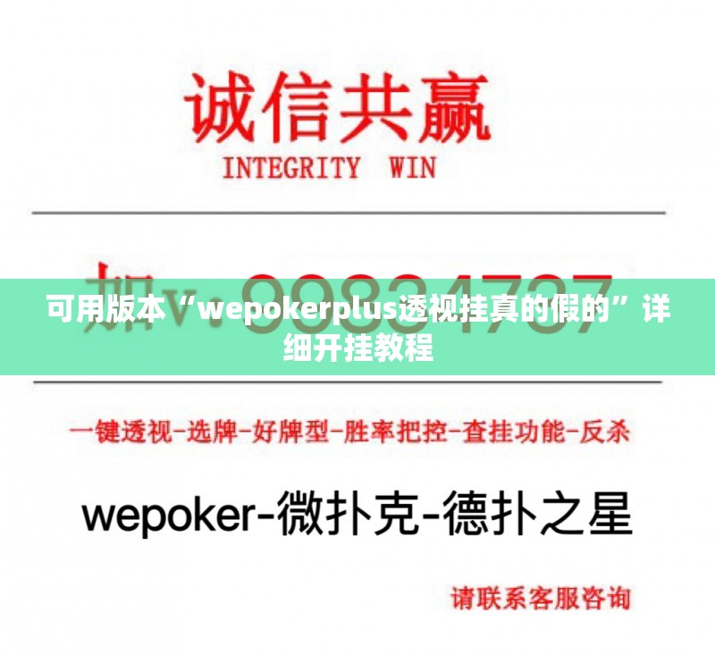 可用版本“wepokerplus透视挂真的假的”详细开挂教程