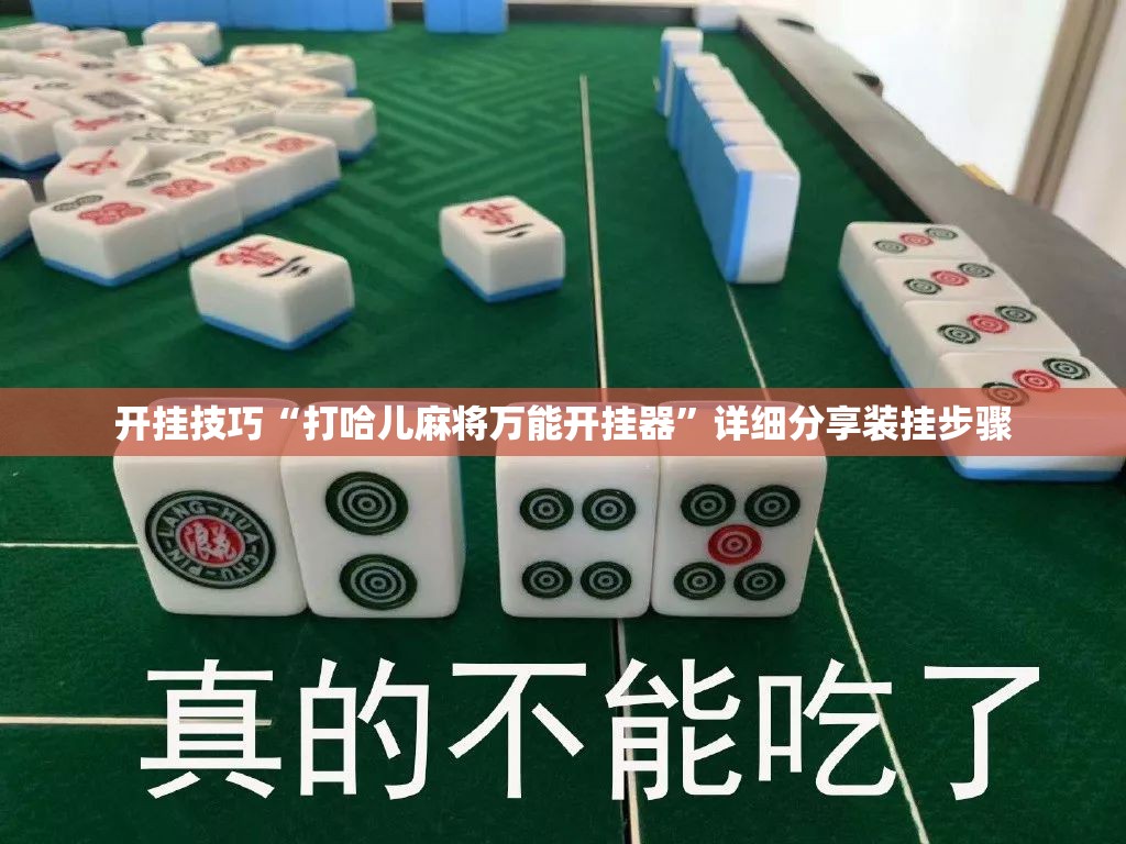 开挂技巧“打哈儿麻将万能开挂器	”详细分享装挂步骤