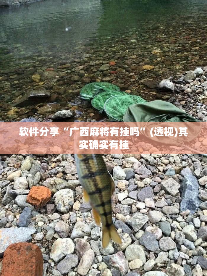 软件分享“广西麻将有挂吗	”(透视)其实确实有挂