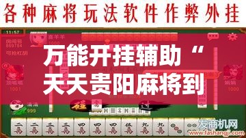 万能开挂辅助“天天贵阳麻将到底有没有挂”细辅助教程分享