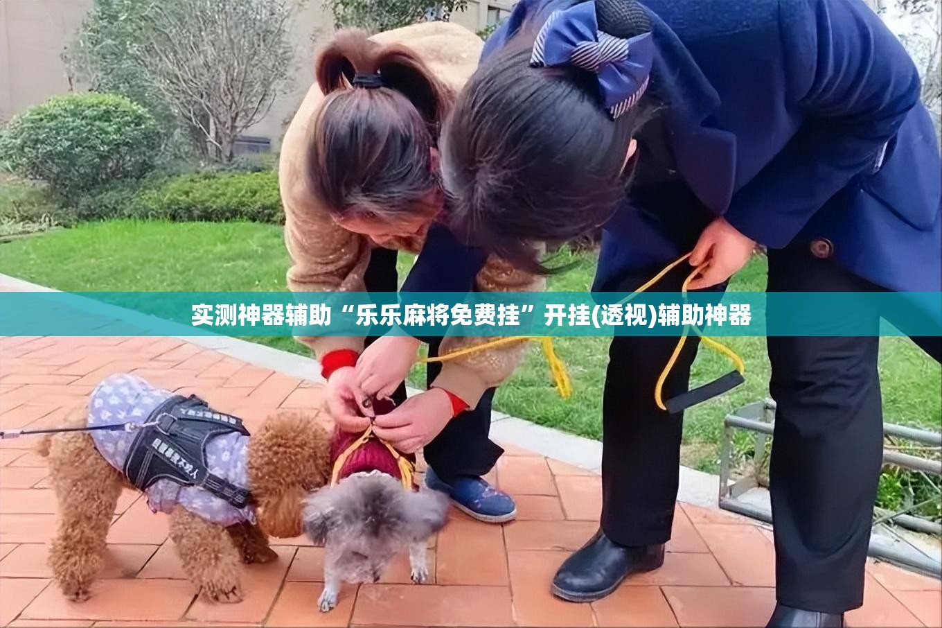 实测神器辅助“乐乐麻将免费挂”开挂(透视)辅助神器