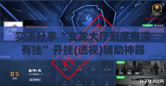 实测分享“玄龙大厅到底有没有挂”开挂(透视)辅助神器