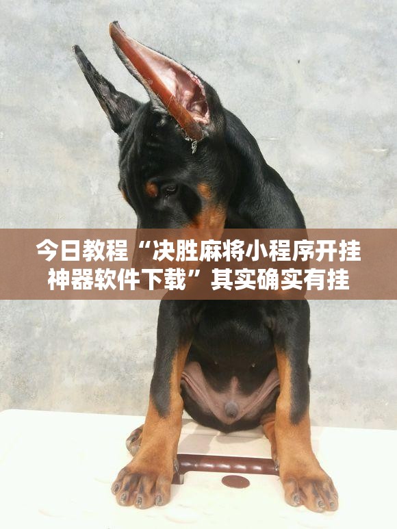 今日教程“决胜麻将小程序开挂神器软件下载”其实确实有挂