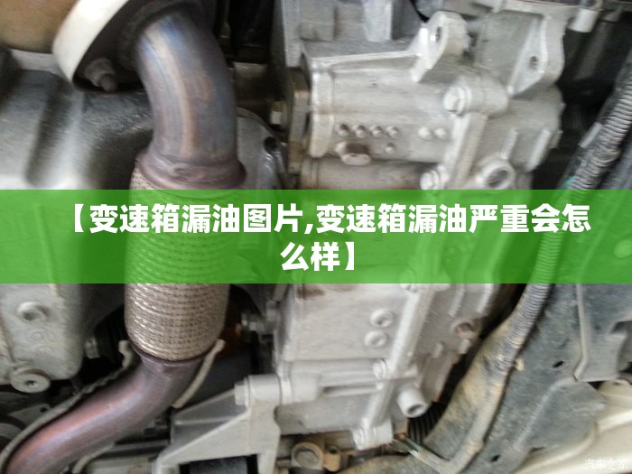 【变速箱漏油图片,变速箱漏油严重会怎么样】 【变速箱漏油图片,变速箱漏油严重会怎么样】