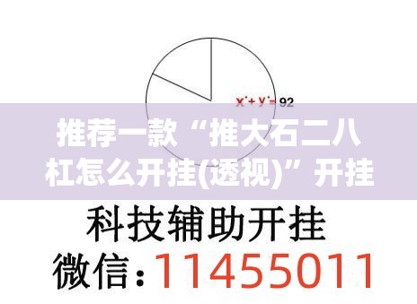 推荐一款“推大石二八杠怎么开挂(透视)	”开挂辅助脚本+详细开挂安装教程
