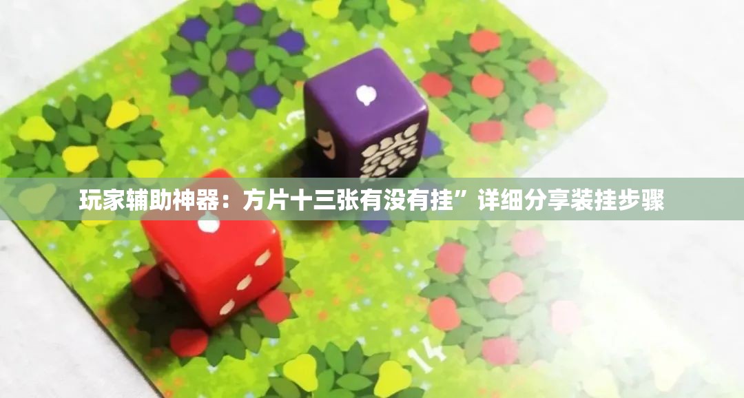 玩家辅助神器：方片十三张有没有挂”详细分享装挂步骤