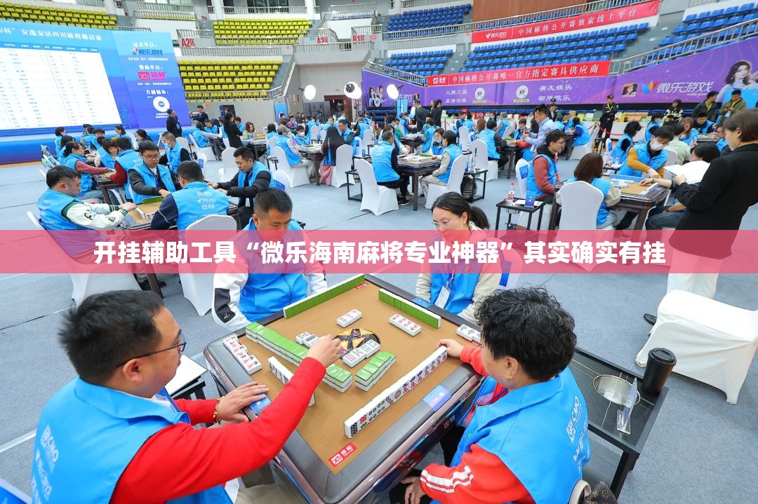 开挂辅助工具“微乐海南麻将专业神器”其实确实有挂