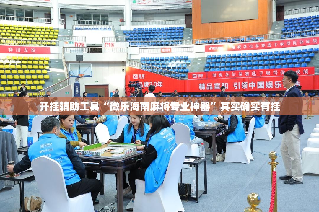 开挂辅助工具“微乐海南麻将专业神器”其实确实有挂