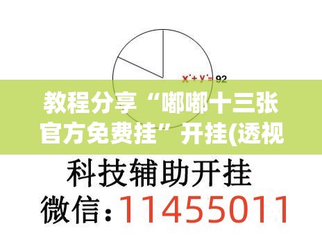 教程分享“嘟嘟十三张官方免费挂”开挂(透视)辅助神器
