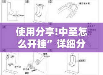 使用分享!中至怎么开挂”详细分享装挂步骤