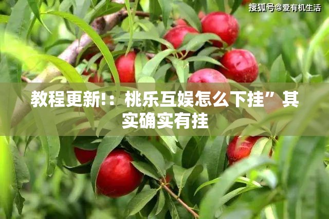 教程更新!：桃乐互娱怎么下挂	”其实确实有挂