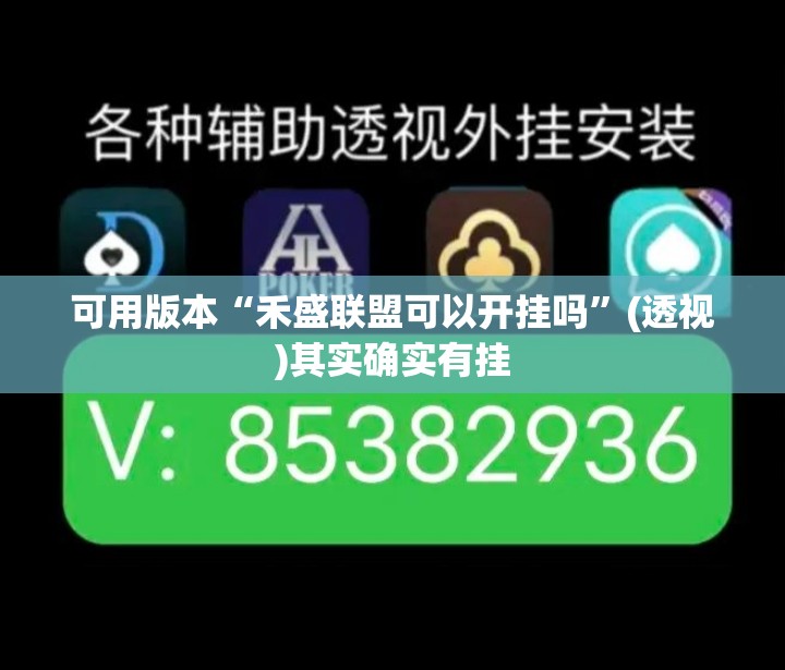可用版本“禾盛联盟可以开挂吗”(透视)其实确实有挂