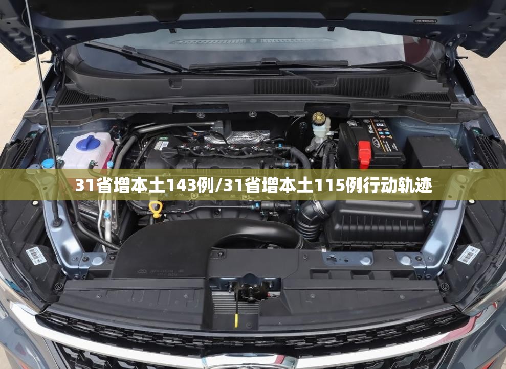 31省增本土143例/31省增本土115例行动轨迹 31省增本土143例/31省增本土115例行动轨迹