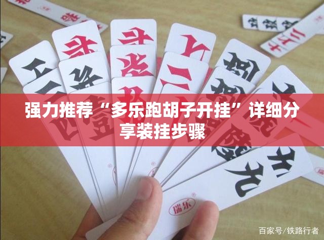 强力推荐“多乐跑胡子开挂”详细分享装挂步骤