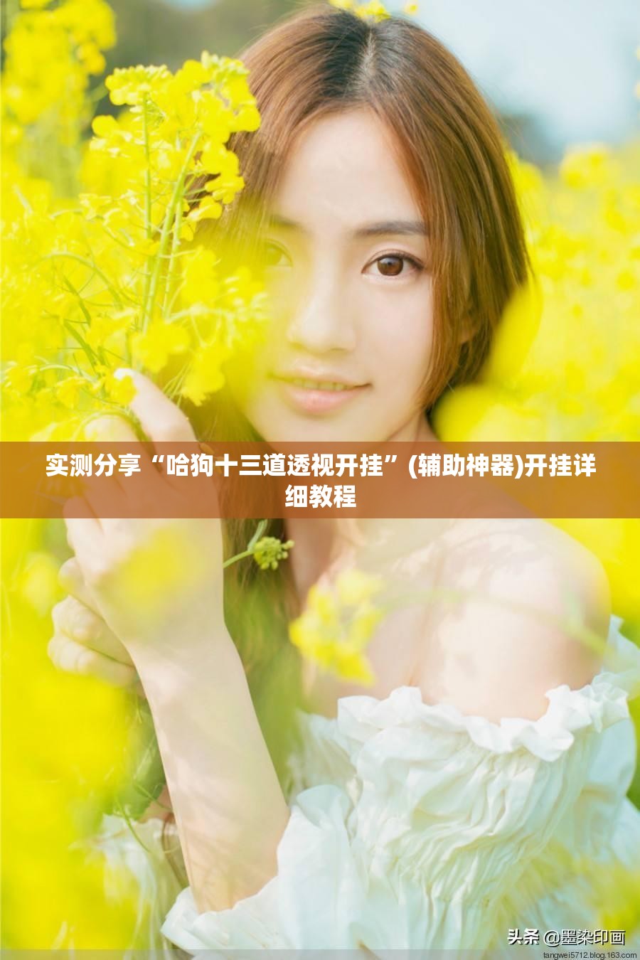 实测分享“哈狗十三道透视开挂	”(辅助神器)开挂详细教程