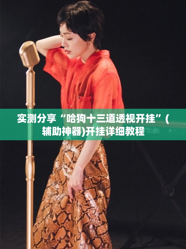 实测分享“哈狗十三道透视开挂”(辅助神器)开挂详细教程