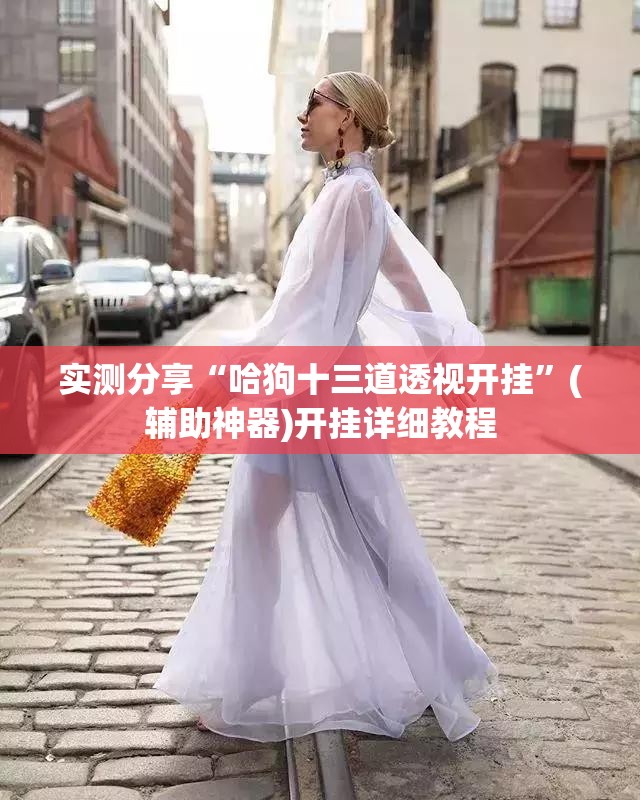 实测分享“哈狗十三道透视开挂”(辅助神器)开挂详细教程