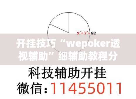 开挂技巧“wepoker透视辅助”细辅助教程分享