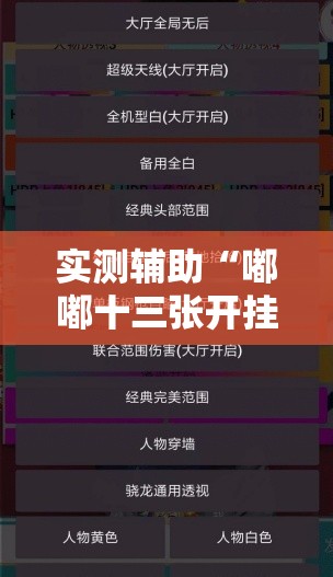 实测辅助“嘟嘟十三张开挂教程”详细外挂透视辅助软件教程