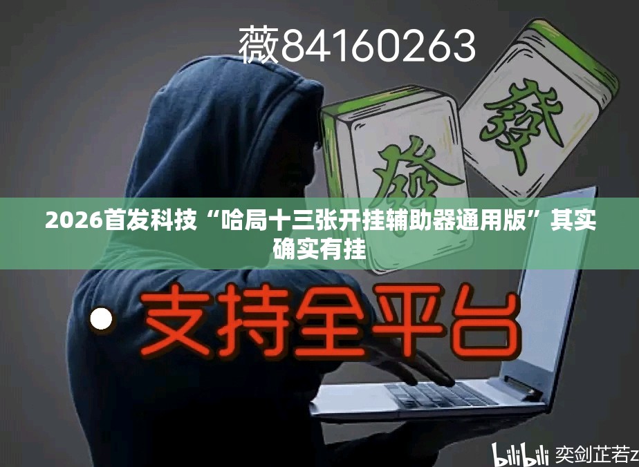 2026首发科技“哈局十三张开挂辅助器通用版	”其实确实有挂