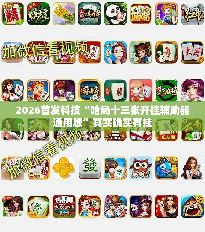 2026首发科技“哈局十三张开挂辅助器通用版”其实确实有挂