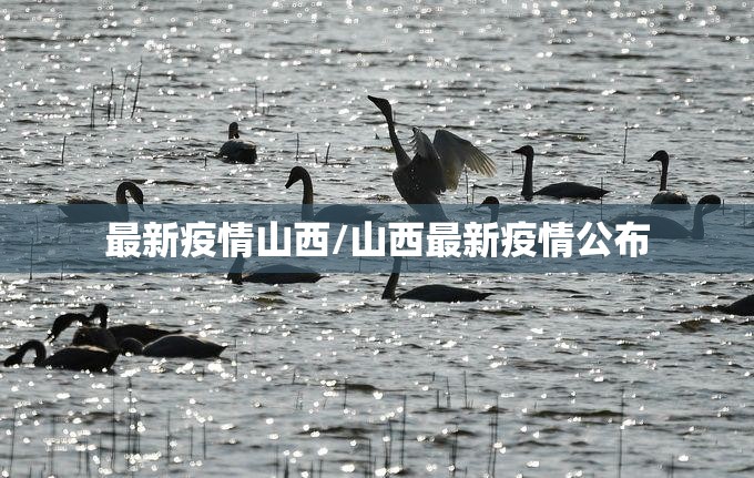 最新疫情山西/山西最新疫情公布 最新疫情山西/山西最新疫情公布