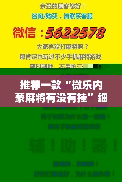 推荐一款“微乐内蒙麻将有没有挂”细辅助教程分享