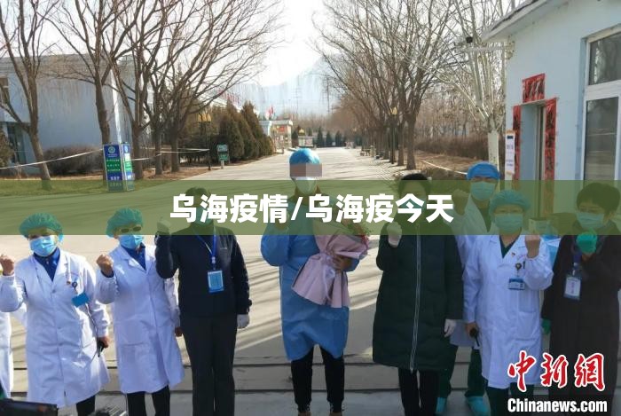 乌海疫情/乌海疫今天 乌海疫情/乌海疫今天