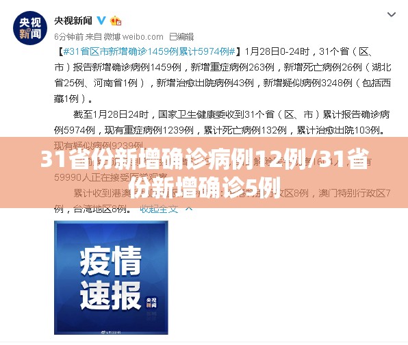 31省份新增确诊病例12例/31省份新增确诊5例