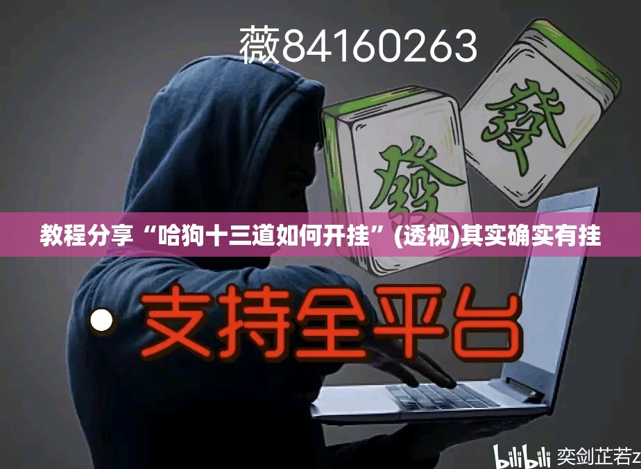 教程分享“哈狗十三道如何开挂”(透视)其实确实有挂