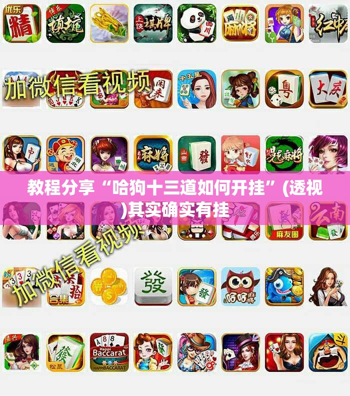 教程分享“哈狗十三道如何开挂	”(透视)其实确实有挂