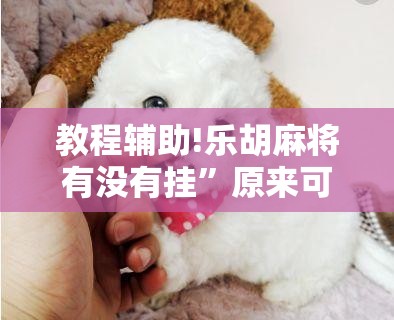 教程辅助!乐胡麻将有没有挂	”原来可以开挂