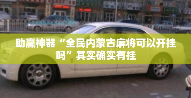 助赢神器“全民内蒙古麻将可以开挂吗”其实确实有挂