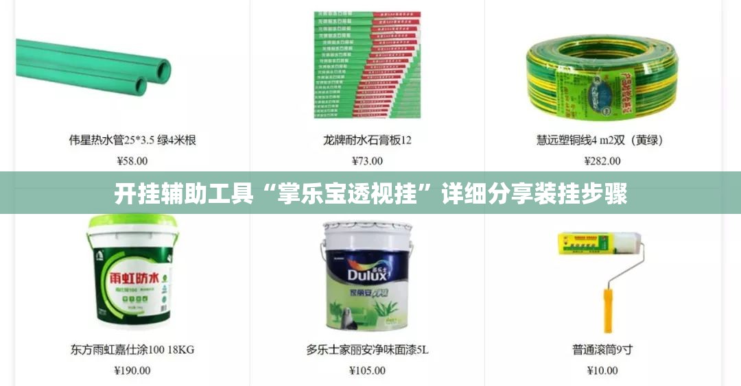 开挂辅助工具“掌乐宝透视挂”详细分享装挂步骤