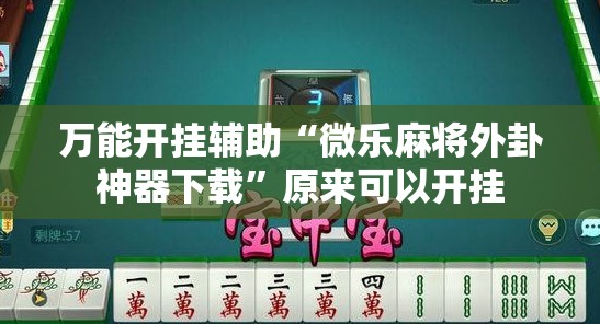 万能开挂辅助“微乐麻将外卦神器下载”原来可以开挂