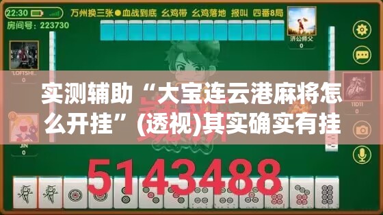 实测辅助“大宝连云港麻将怎么开挂	”(透视)其实确实有挂