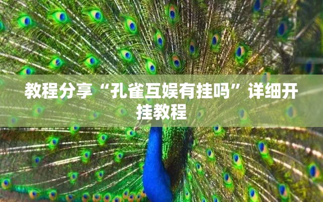 教程分享“孔雀互娱有挂吗”详细开挂教程