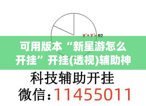 可用版本“新星游怎么开挂”开挂(透视)辅助神器
