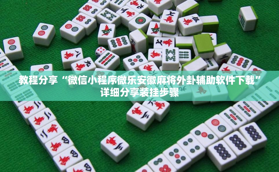 教程分享“微信小程序微乐安徽麻将外卦辅助软件下载”详细分享装挂步骤