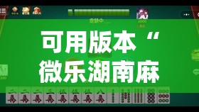 可用版本“微乐湖南麻将三打哈有没有开挂神器”详细开挂教程