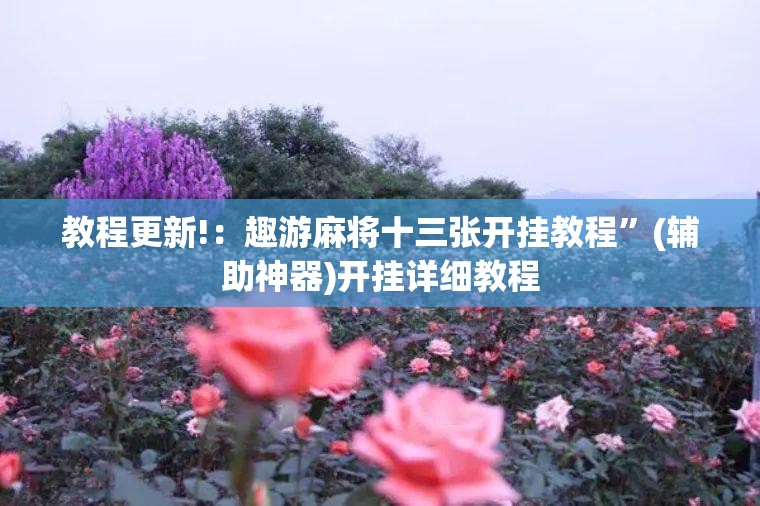 教程更新!：趣游麻将十三张开挂教程	”(辅助神器)开挂详细教程