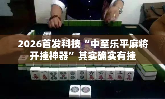 2026首发科技“中至乐平麻将开挂神器”其实确实有挂