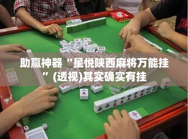 助赢神器“星悦陕西麻将万能挂”(透视)其实确实有挂