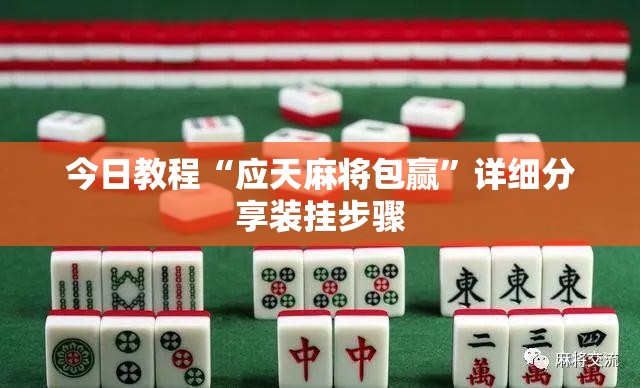 今日教程“应天麻将包赢	”详细分享装挂步骤