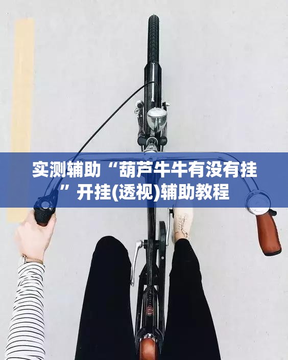 实测辅助“葫芦牛牛有没有挂”开挂(透视)辅助教程