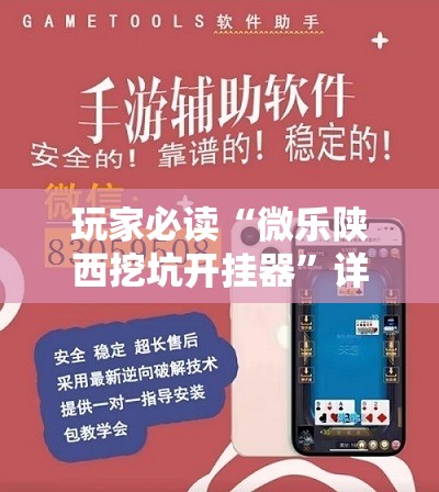 玩家必读“微乐陕西挖坑开挂器”详细开挂教程